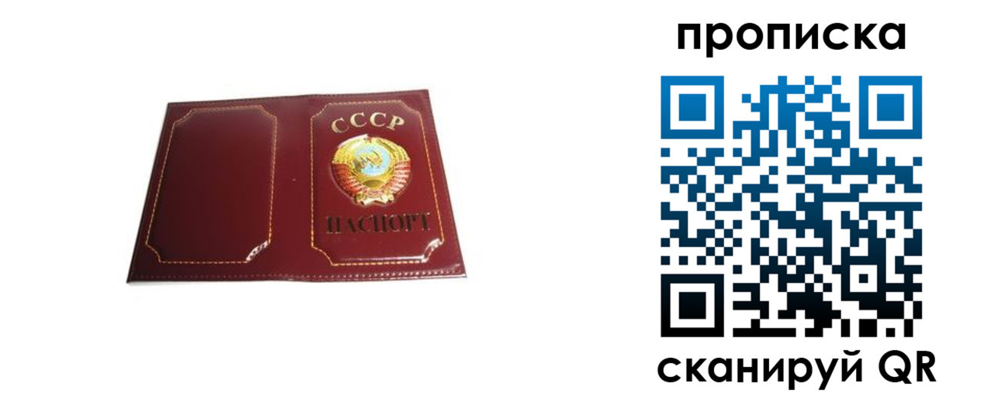 прописка гарантия в Орле